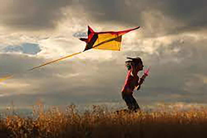 Kite line